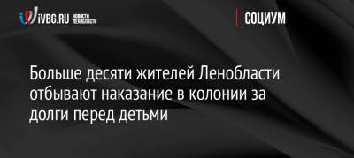 Больше десяти жителей Ленобласти отбывают наказание в колонии за долги перед детьми - ivbg.ru - Украина - Ленинградская обл. - район Подпорожский