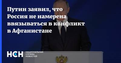 Владимир Путин - Андрей Картаполов - Путин заявил, что Россия не намерена ввязываться в конфликт в Афганистане - nsn.fm - Россия - Афганистан