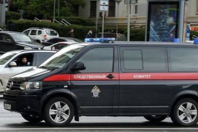 СК возбудил уголовное дело за избиение девушки санитарами в Ярославле - mk.ru - Россия - Ярославль