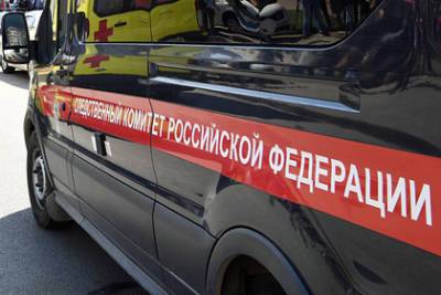 Пропавшая российская школьница найдена мертвой у пропасти - lenta.ru - Россия - респ. Кабардино-Балкария