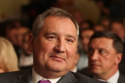Дмитрий Рогозин - Рогозин рассказал о прошедшей эксперимент по жидкостному дыханию таксе - mk.ru - Москва