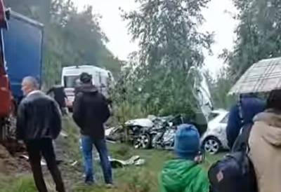 Kia Ceed - В Ровенской области столкнулись грузовик и легковушка: один из водителей скончался. ФОТО - enovosty.com