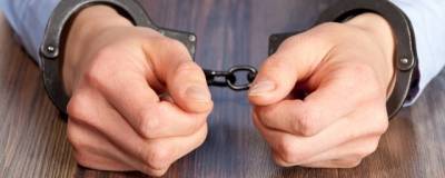 В Орле 82-летний пенсионер на своей даче помог полицейским задержать вора - runews24.ru - Орел - район Советский, Орел