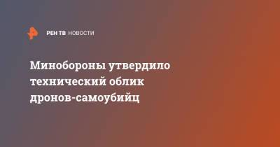 Минобороны утвердило технический облик дронов-самоубийц - ren.tv - Россия