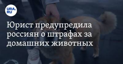 Надежда Ермолаева - Юрист предупредила россиян о штрафах за домашних животных - ura.news - Москва