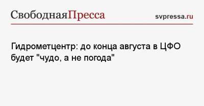 Гидрометцентр: до конца августа в ЦФО будет «чудо, а не погода» - svpressa.ru - Москва - Россия - Санкт-Петербург - ЦФО