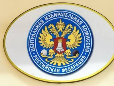 ЦИК снял с выборов восемь кандидатов за владение иностранными финансовыми инструментами - nakanune.ru - Россия