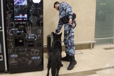 В Красноярском крае саперы обезвредили минометную мину - kras.mk.ru - Красноярский край - Красноярск - Железногорск - Канск