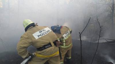 В Башкирии за сутки площадь лесных пожаров увеличилась на 300 гектаров - ufacitynews.ru - Башкирия