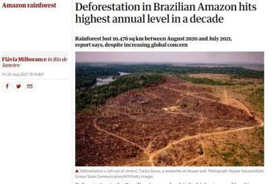 Жаир Болсонар - Вырубка лесов в бразильской Амазонии достигла самого высокого уровня за десятилетие - mk.ru - Лондон - Бразилия - Нью-Йорк