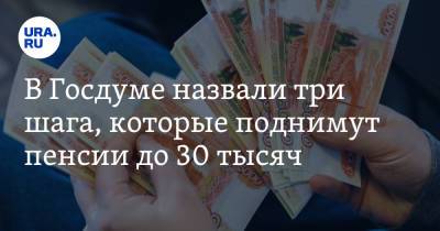 Анатолий Аксаков - В Госдуме назвали три шага, которые поднимут пенсии до 30 тысяч - ura.news