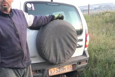Полиция проверяет жителя Красноярского края, который возил труп собаки по дороге - kras.mk.ru - Красноярский край