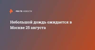 Гидрометцентр Роман Вильфанд - Небольшой дождь ожидается в Москве 25 августа - ren.tv - Москва - Тверская обл.