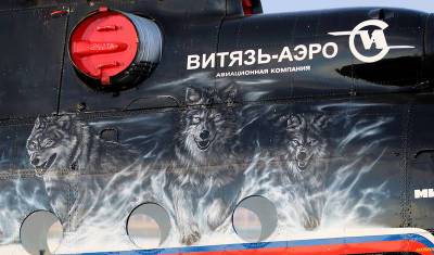 Владимир Солодов - В Росавиации приступили к проверке «Витязь-Аэро» по факту крушения Ми-8 на Камчатке - newizv.ru