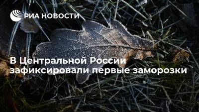 Евгений Тишковец - Синоптик "Фобоса": в Центральной России зафиксировали первые заморозки - ria.ru - Москва - Россия - Московская обл. - Тверская обл. - Волоколамск