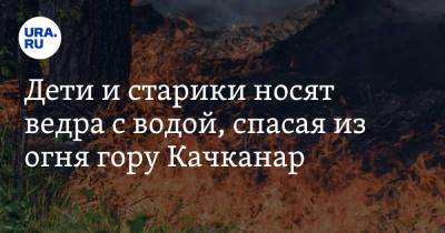 Дети и старики носят ведра с водой, спасая из огня гору Качканар - ura.news - Свердловская обл.