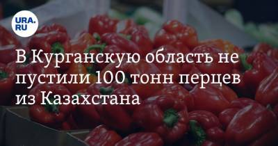 В Курганскую область не пустили 100 тонн перцев из Казахстана - ura.news - Казахстан - Челябинская обл. - Курганская обл.