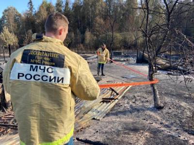 Причины перехода огня на поселок Стеклянный изучают сотрудники нижегородского Госпожнадзора - vgoroden.ru - Россия