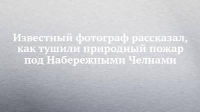 Известный фотограф рассказал, как тушили природный пожар под Набережными Челнами - chelny-izvest.ru - Набережные Челны