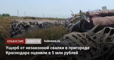 Ущерб от незаконной свалки в пригороде Краснодара оценили в 5 млн рублей - kubnews.ru - Краснодарский край - Краснодар - Экология