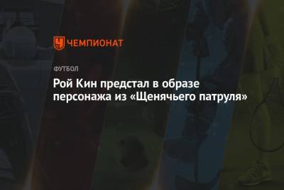 Рой Кин - Рой Кин предстал в образе персонажа из «Щенячьего патруля» - championat.com - Англия - Ирландия