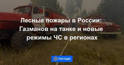 Лесные пожары в России: Газманов на танке и новые режимы ЧС в регионах - news.mail.ru - Россия - Нижегородская обл.