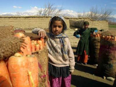 Дэвид Бизли - «Голод, засуха, террористы»: в ООН предрекли жителям Афганистана «ад» - rosbalt.ru - Россия - США - Афганистан - Катар