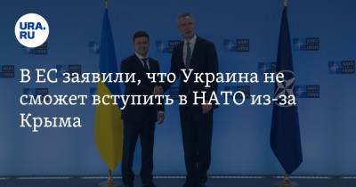 Сергей Лавров - Керсти Кальюлайд - В ЕС заявили, что Украина не сможет вступить в НАТО из-за Крыма - ura.news - Россия - Украина - Крым - Эстония