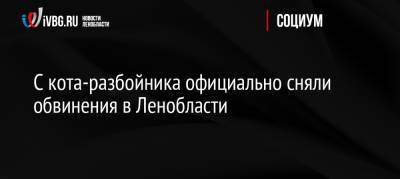 С кота-разбойника официально сняли обвинения в Ленобласти - ivbg.ru - Россия - Украина - Ленинградская обл. - Россияне