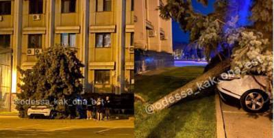 Перед ОГА голубая ель раздавила новенький Range Rover: приехали в Одессу на праздники - politeka.net - Украина - Киев - Одесса