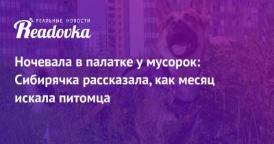 Ночевала в палатке у мусорок: Сибирячка рассказала, как месяц искала питомца - readovka.ru