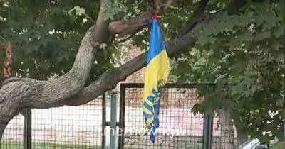 В Киеве подростки сожгли флаг Украины (ВИДЕО) - dsnews.ua - Украина - Киев