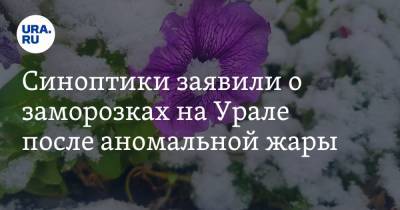 Александр Шувалов - Синоптики заявили о заморозках на Урале после аномальной жары - ura.news - респ. Коми - Тюменская обл. - Свердловская обл. - Мурманская обл. - Пермский край - Архангельская обл. - республика Карелия - Экология