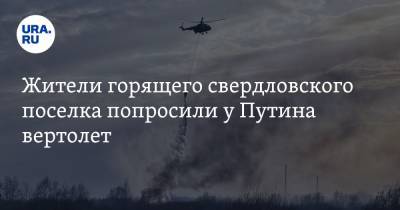 Владимир Путин - Жители горящего свердловского поселка попросили у Путина вертолет. Видео - ura.news - Свердловская обл.