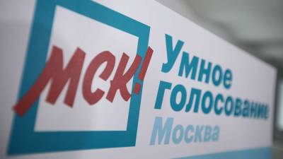 Алексей Навальный - Алексей Мухин - Данные еще 95 тыс. пользователей «Умного голосования» оказались в Сети - iz.ru - Санкт-Петербург - Израиль - Московская обл.