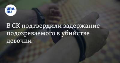 В СК подтвердили задержание подозреваемого в убийстве девочки - ura.news - Россия - Тюмень