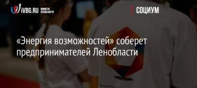 «Энергия возможностей» соберет предпринимателей Ленобласти - ivbg.ru - Украина - Ленинградская обл.