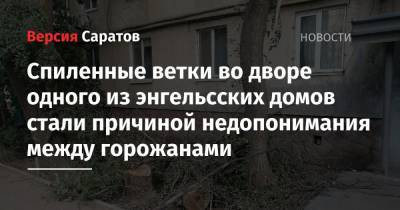Спиленные ветки во дворе энгельсского дома стали причиной недопонимания между горожанами - nversia.ru