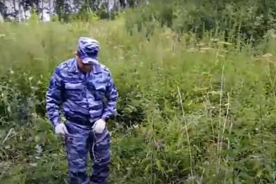 Стали известны детали «странного» обнаружения убитой маньяком девочки в Тюмени - mk.ru - Тюмень