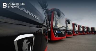 Максим Платонов - В Казани 30 августа продлят работу общественного транспорта - realnoevremya.ru - респ. Татарстан - Казань