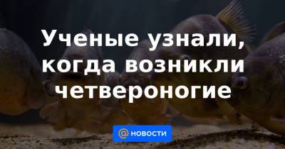 Ученые узнали, когда возникли четвероногие - news.mail.ru