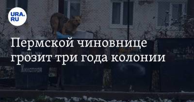Пермской чиновнице грозит три года колонии - ura.news - Россия - Пермь - Пермский край - Экология