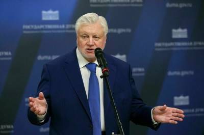 Сергей Миронов - Миронов направил в кабмин проект о ежемесячных выплатах семьям с детьми - pnp.ru - Москва - Россия