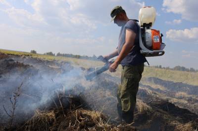 На Южном Урале снова горят леса. Мнение волонтера, почему так происходит - znak.com - Челябинская обл.