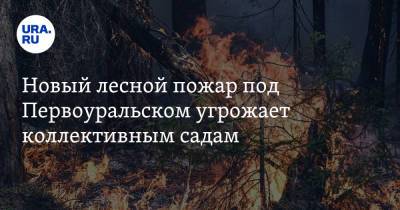 Новый лесной пожар под Первоуральском угрожает коллективным садам - ura.news - Россия - Свердловская обл. - Первоуральск
