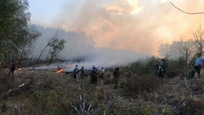 В Баймакском районе локализован еще один лесной пожар - bash.news - район Баймакский