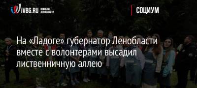 Александр Дрозденко - Ольга Амельченкова - На «Ладоге» губернатор Ленобласти вместе с волонтерами высадил лиственничную аллею - ivbg.ru - Россия - Украина - Ленинградская обл. - окр.Сзфо