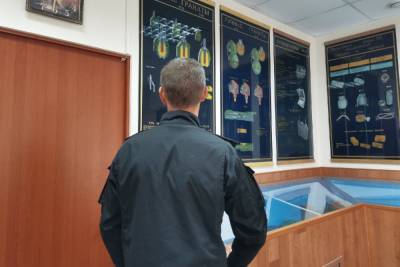 Сотрудник ОМОНа в Туле рассказал о разминировании школ, глушилках и товарищах - tula.mk.ru - Тула