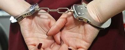 В Воронеже девушка стала закладчицей наркотиков, чтобы оплатить адвоката возлюбленному - runews24.ru - Воронеж - Мурманская обл. - Липецкая обл.