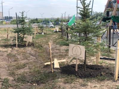 «Аллея елей» появилась в «Елецком» - lipetskmedia.ru